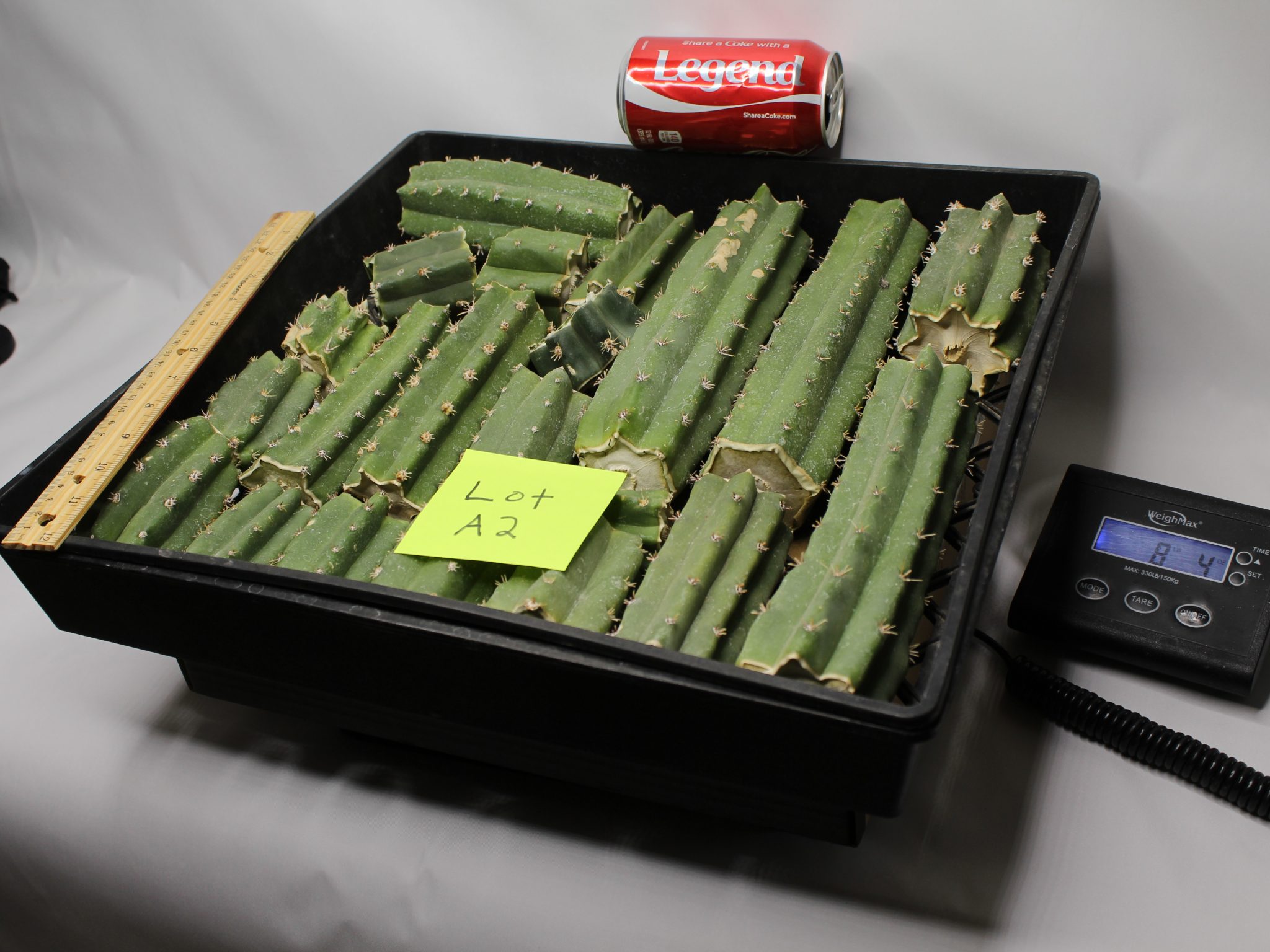Peruvianus Cactus 8 Lbs of Bits