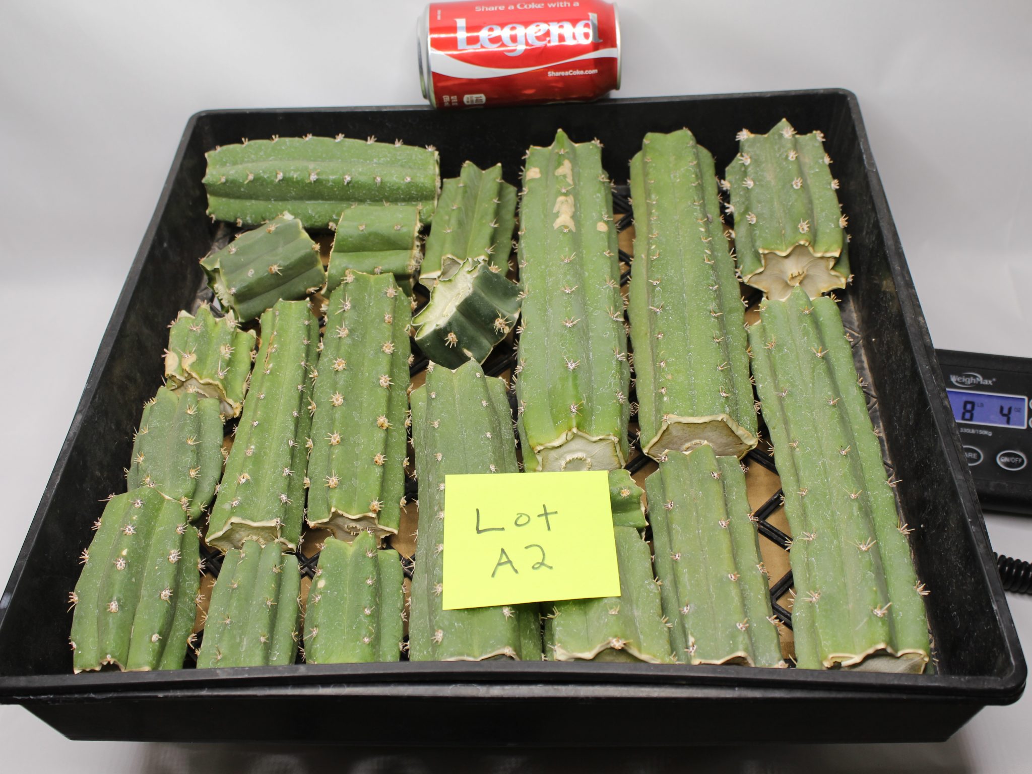 Peruvianus Cactus 8 Lbs of Bits